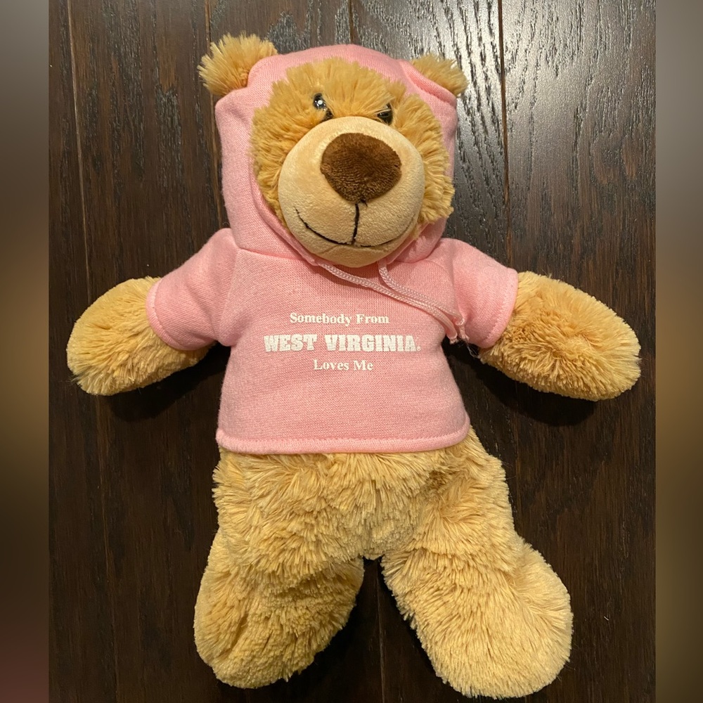 Plush West Virginia bear in great condition! Would make a great Christmas gift